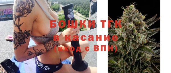 бошки Белокуриха