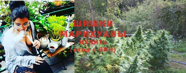бошки Белокуриха