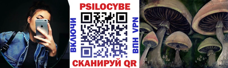 где купить   Голицыно  Галлюциногенные грибы прущие грибы 